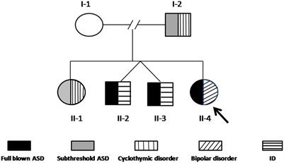 Case report: Familial case with autism spectrum and bipolar disorder showing a 20q11.21 microduplication including TM9SF4